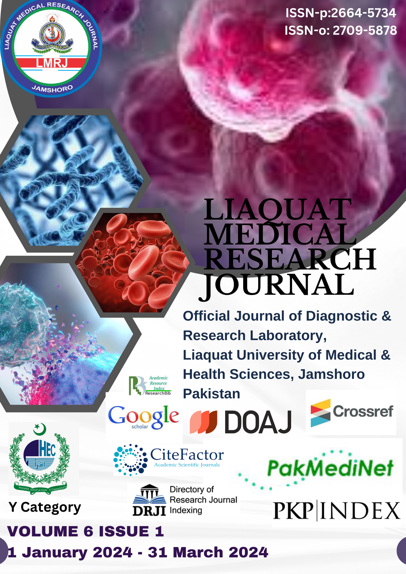 					View Vol. 6 No. 1 (2024): Liaquat Medical Research Journal
				