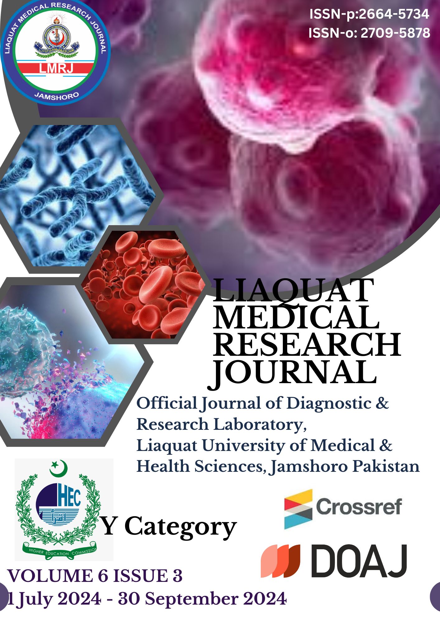 					View Vol. 6 No. 3 (2024): Liaquat Medical Research Journal
				