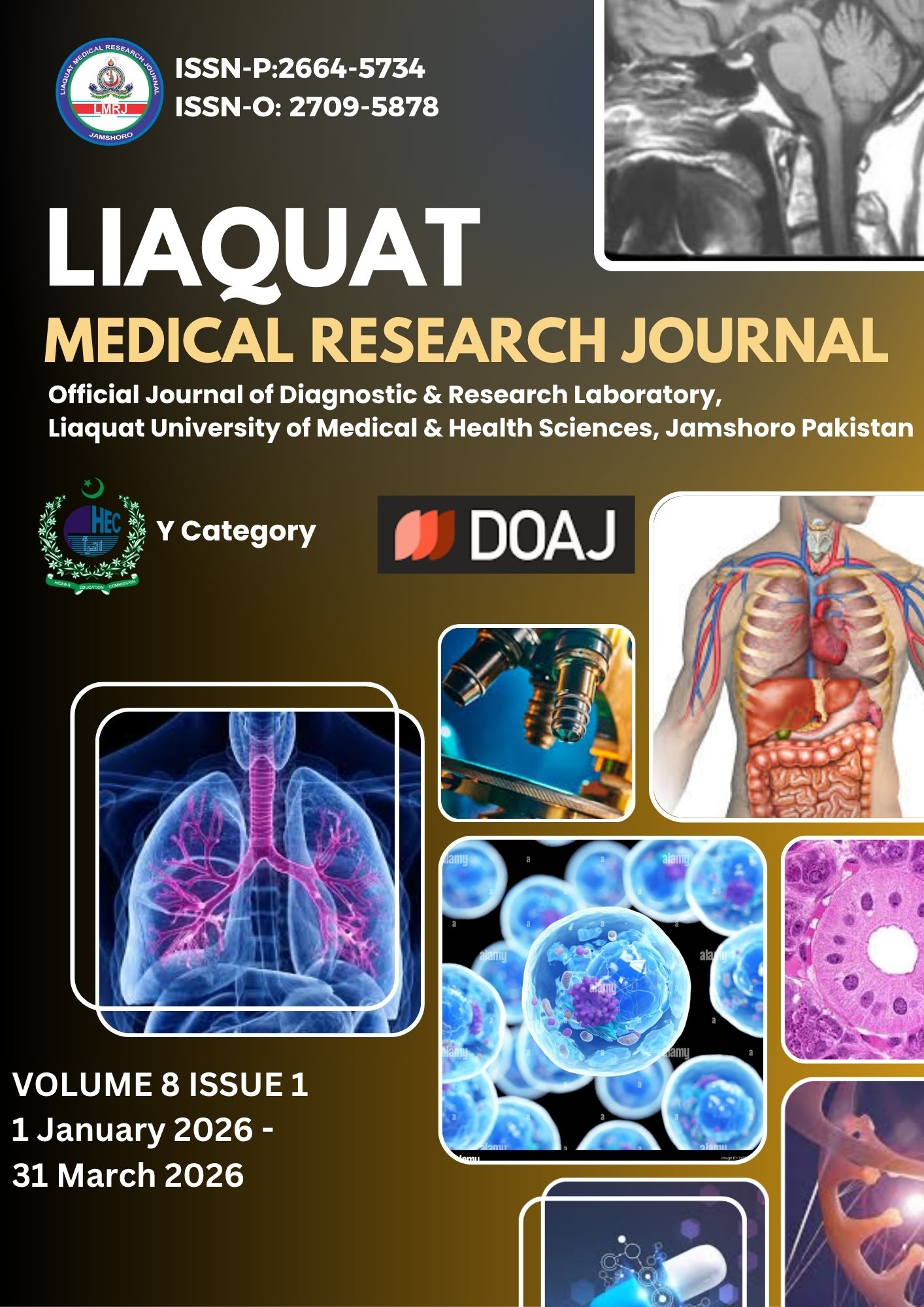 					View Vol. 8 No. 1 (2026): Liaquat Medical Research Journal 
				